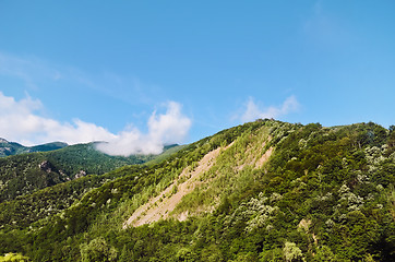 Image showing Carpathian Mountains