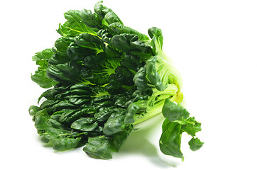 Image showing Chinese flat cabbage (Brassica chinensis) or Tah Tsai lettuce