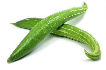 Image showing Snake gourd isolated 