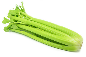 Image showing Bunch of celery sticks isolated 