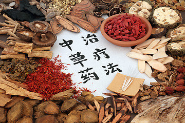 Image showing Chinese Alternative Medicine