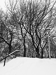 Image showing Winter park after snowstorm