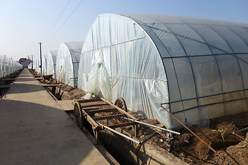 Image showing Large greenhouse for plants in the autumn