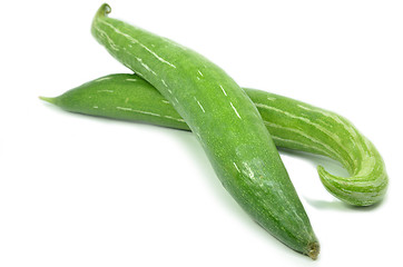 Image showing Snake gourd isolated