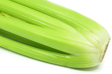 Image showing Bunch of celery sticks isolated