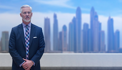 Image showing Senior businessman in front of the big city