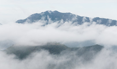 Image showing Sea of cloud in forest