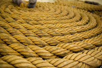 Image showing Twisted natural fibre rope