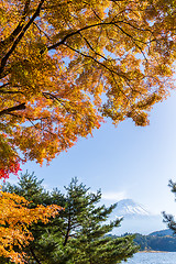 Image showing Mt.Fuji in autumn