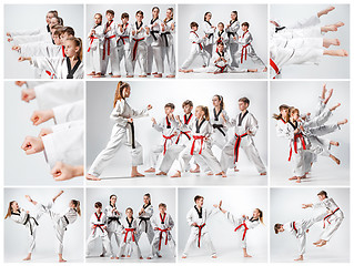 Image showing The studio shot of group of kids training karate martial arts