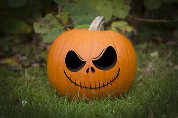 Image showing Halloween Pumpin