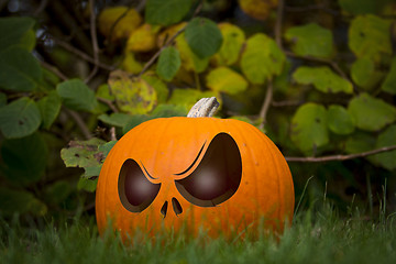 Image showing Halloween Pumpin