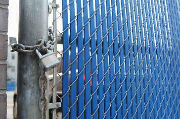 Image showing Heavy-duty padlock and chain on blue security gate