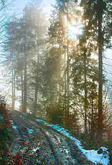 Image showing Winter forest road 