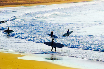 Image showing Surfing at sunset