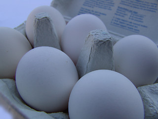 Image showing Eggs