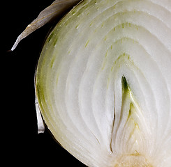 Image showing Detail of half a white onion