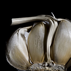 Image showing A half of a garlic head