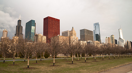 Image showing Downtown Chicago Illinois Skyline Stark Winter Park Trees