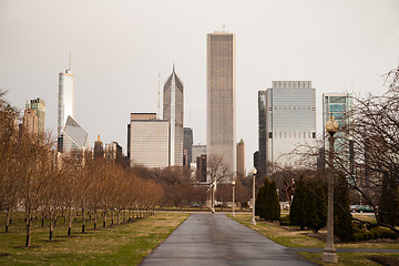 Image showing Downtown Chicago Illinois Skyline Stark Winter Park Trees