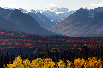 Image showing Denali Range Autumn Color Alaska Wilderness Winter Season