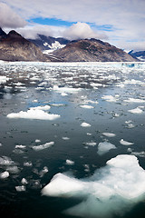 Image showing Alaska Glacier Kenai Fjords National Park Icebergs Bay Water