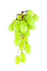 Image showing Bunch of Grapes