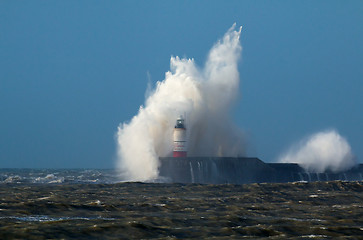 Image showing Wave and Gull Over Lighthouse