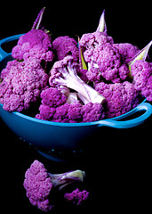 Image showing Fresh Purple Cauliflower