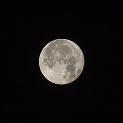 Image showing Supermoon Square Crop