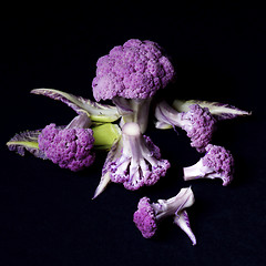 Image showing Fresh Purple Cauliflower