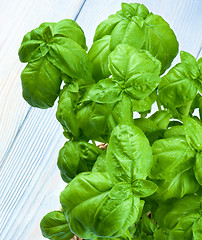 Image showing Fresh Green Basil 