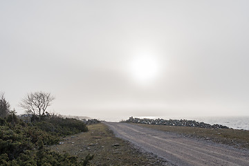 Image showing Misty coastal countryside view