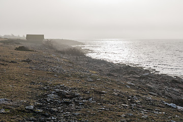 Image showing Misty shoreline