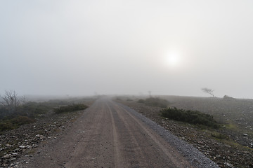 Image showing Landscape with a misty gravel road