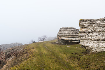 Image showing Eroded limestone cliffs