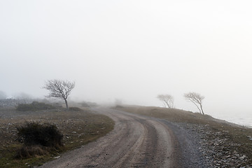 Image showing Misty spooky country road