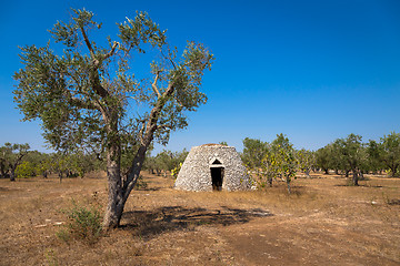 Image showing Puglia Region, Italy. Traditional warehouse made of stone