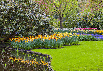 Image showing Flowers Garden