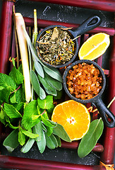 Image showing herbal tea