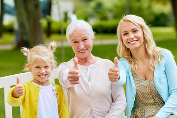 Image showing woman with daughter and senior mother at park