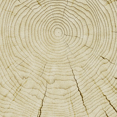 Image showing wooden background texture