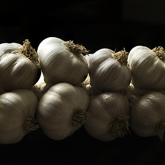 Image showing A string of garlic