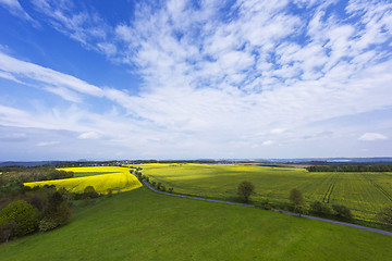 Image showing Spring landscape with fields, meadows and a road