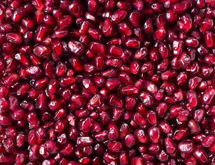 Image showing Close up of pomegranate seeds