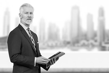 Image showing Senior businessman in front of the big city