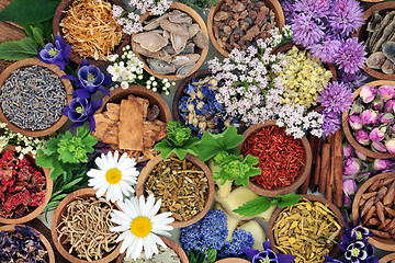 Image showing Herbal Medicine with Herbs and Flowers