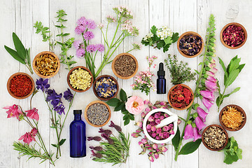 Image showing Natural Herbal Medicine  