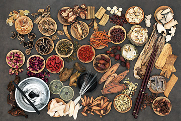 Image showing Chinese Acupuncture and Herbal Therapy