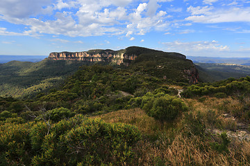 Image showing Views to Narrowneck Plateau Blue Mountains